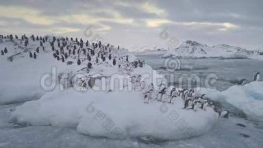 企鹅跳冰河南极水